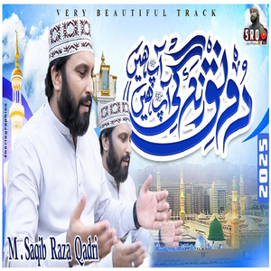 Ronaq e Zindgi Ap Hain Ap Hain