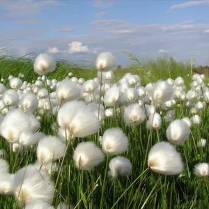 "风"-UK Garage Type Beat