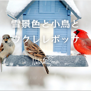 Winter Wings Melody