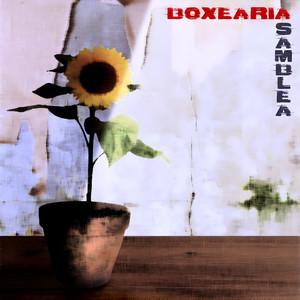 Boxearia
