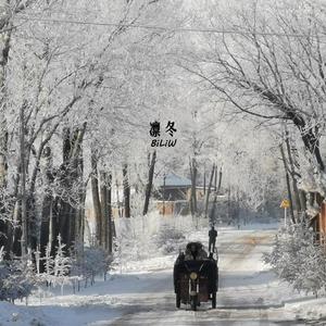 凛冬(prod by 陆玖零-690)