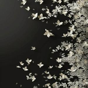 Nobody (46秒片段)