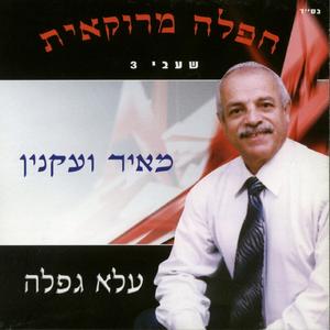 ספרת לפרונס