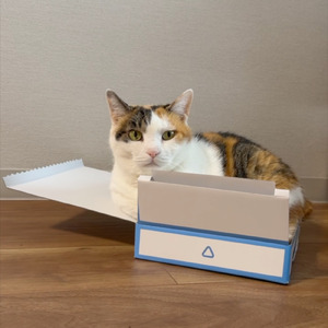 サイズ感バグってる