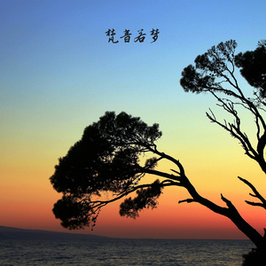 浅陌初心 (大提琴)