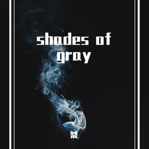 VOF RECORDS-shades of gray（桀 remix）