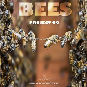 Bees (Original mix)