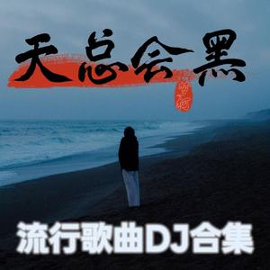 陈雅雯 - 黑街 (DJ版)