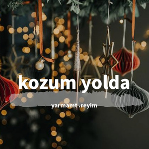 kozum yolda