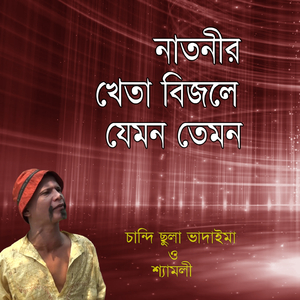 Natnir Kheta Bijle Jemon Temon, Pt. 2