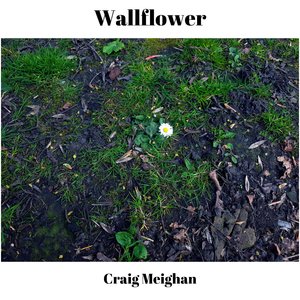 Wallflower