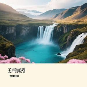 无声的吸引