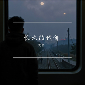 《雪落的那一晚》