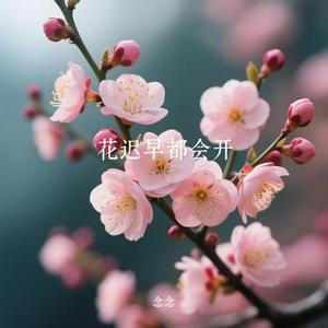 花迟早都会开 (Cover 卡迪哥)