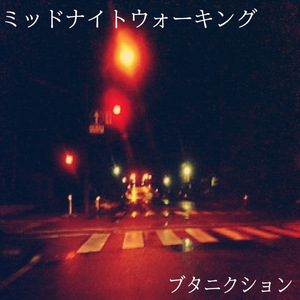 ミッドナイトウォーキング