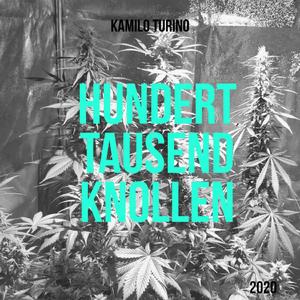 HTK / Hunderttausendknollen