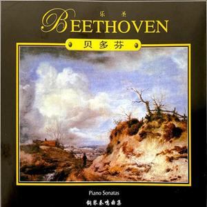 降A大调第十二钢琴奏鸣曲（葬礼进行曲）第一乐章