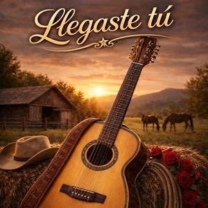 Llegaste tú (feat. Adán Escalante)