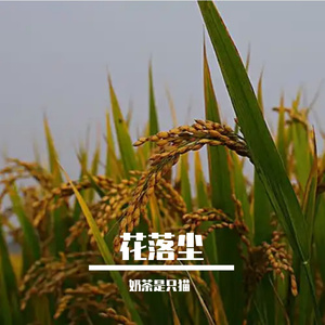 花落尘