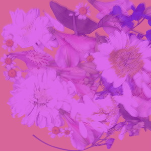 Красивые слова