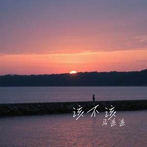 该不该 (Cover 吕口口)