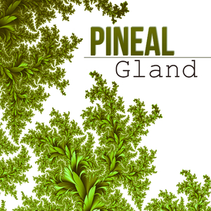 Red Lotus (Awaken Nature)