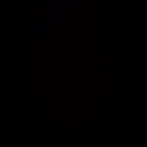  Winds That Carry Us Home（带我们回家的风）