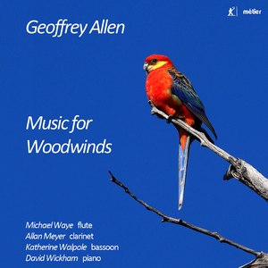 Bassoon Sonatina, Op. 34 No. 2:I. Moderato ma con affrettato