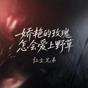娇艳的玫瑰怎会爱上野草