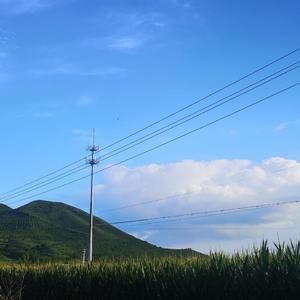 这首不是我为谁写的歌