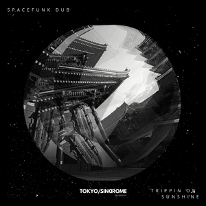 Trippin' on Sunshine (Original Mix)