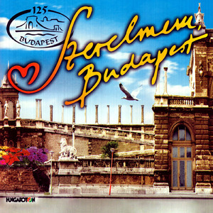 Hidak az esti Dunán