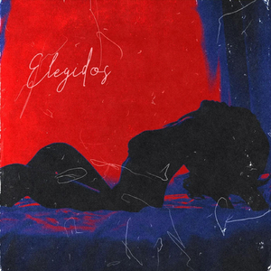 Elegidos