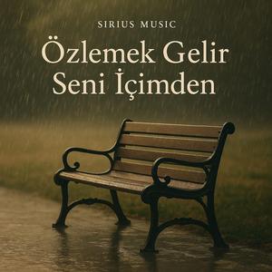 Bir Yol Var Yürüdüğümüz