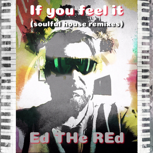 If You Feel It (Soulful House Remix)