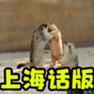 上海土拨鼠劝架