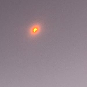 Forestview High School (diss)