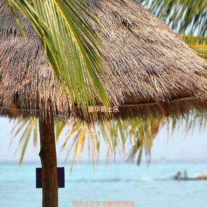 适合专注高尚的音乐