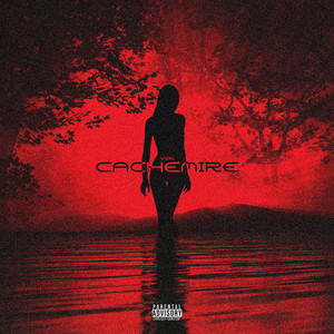 Cachemire