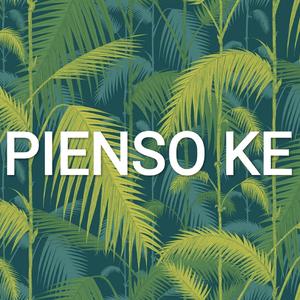 Pienso Ke (feat. L'Barber & Ángel Chili)