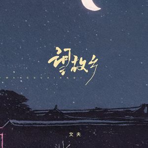 文夫-望故乡（DJ百大菌Remix)