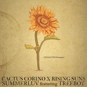 Summerluv (feat. Treeboy)