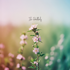 Restfulness