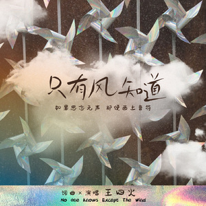 只有风知道