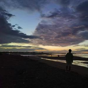 菩萨鱼(AI金鱼精版)_Sax.大东