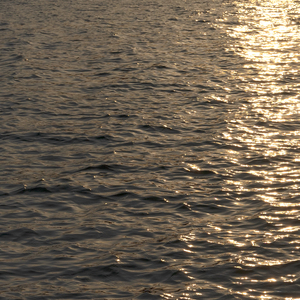 그럼에도, 우리 (With 정아)