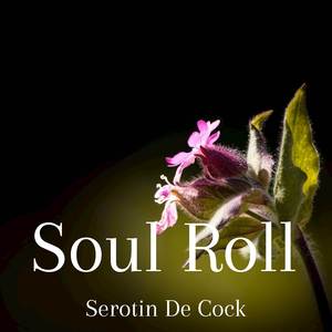 Soul Roll
