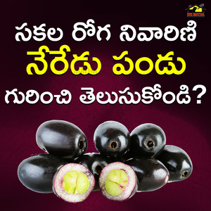 Sakala Roga Nivarini Neredu Pandu Gurinchi Telusukondi?