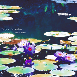 水中莲花  Lotus in water