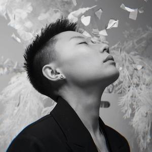 《白色的谎言》